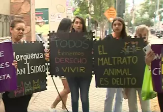 San Isidro: Vecinos denuncian envenenamiento de gatos