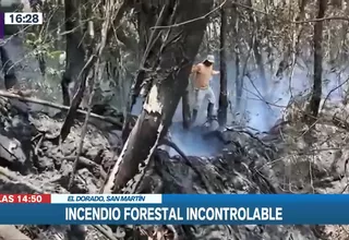 San Martin: Incendio forestal continua sin control