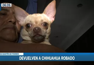 San Martín de Porres: Apareció mascota que fue robada junto a bienes de vivienda