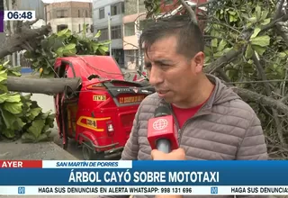 San Martín de Porres: Hombre salvó de morir tras caída de árbol sobre su mototaxi