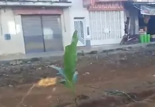 Satipo: Plantan yuca y plátano por demora en obras de pistas