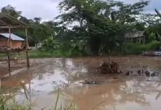Senamhi: La selva soportará lluvias intensas desde el 12 al 14 de junio