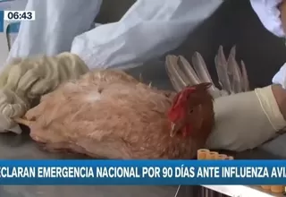 Senasa declara emergencia sanitaria en todo el país por influenza aviar
