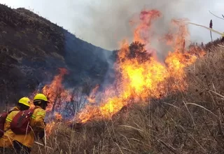 Serfor: Reportan 13 incendios forestales activos en cinco regiones del país 