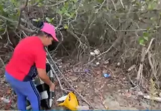Tumbes: recicladores limpian los manglares 