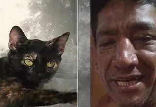 Ventanilla: Hombre fue denunciado por ahorcar a gatita