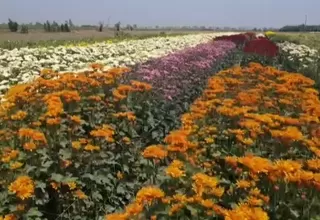 [VIDEO] Semana Nacional de las Flores