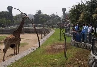 “Hay personas que creen que el zoológico de Huachipa es un circo”