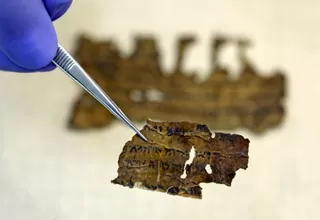 Manuscritos del Mar Muerto: ADN revela parte de los secretos de los textos milenarios