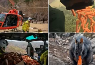 Australia lanzó desde helicópteros comida a animales afectados por incendios
