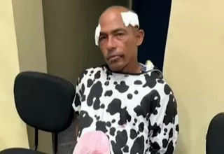 Brasil: Capturan a ladrón que se disfrazó de vaca para robar