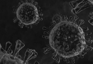 Brasil: Científicos hallan una nueva variante del coronavirus en Sao Paulo