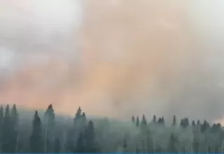 Canadá solicita ayuda federal por incendios forestales