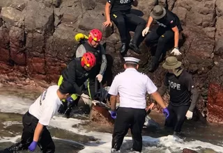 Chile: peruanas mueren al ser arrastradas por marejada cuando se tomaban fotos