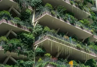 China: Vegetación cubre complejo de apartamentos y ahuyenta a residentes