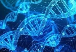 Científicos descifran por primera vez el genoma completo de un ser humano