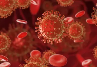 Detectan anticuerpo que bloquea infección del coronavirus en las células