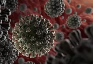 Coronavirus permanece activo en la piel 5 veces más que la gripe, según un estudio
