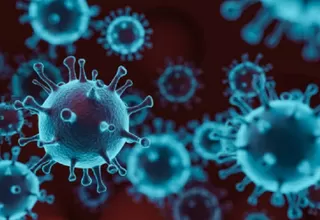 COVID-19: Lo que conoce la ciencia sobre el nuevo coronavirus después de más de 7 meses