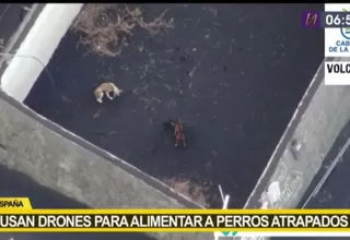 España: Usan drones para alimentar a perros atrapados por lava del volcán de La Palma 