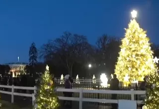 Estados Unidos: Árboles de navidad de todo el país en el National Mall