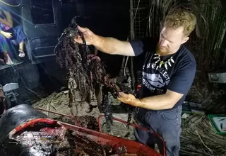 Filipinas: ballena murió de hambre porque tenía 40 kg de plástico en su estómago