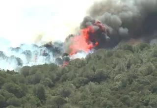 Francia: incendios forestales arrasan 4 mil hectáreas en el sur