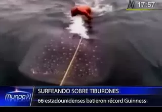 Hombres fueron captados 'surfeando' sobre una ballena