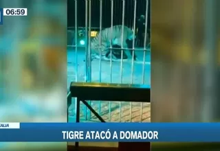 Italia: Tigre atacó a domador en un circo