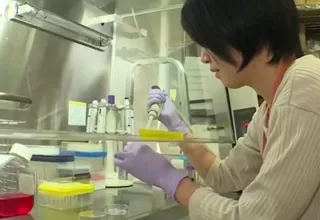 Japón: investigadores crean carne artificial