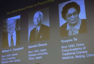 Nobel de Medicina premia a tres doctores por sus trabajos con enfermedades parasitarias