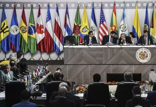 OEA aceptó al representante de Guaidó hasta que haya comicios en Venezuela
