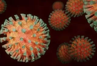 OMS afirma que no existen razones para clasificar variante lambda del coronavirus como preocupante