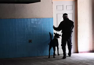 El Salvador: Perros policías son entrenados para detectar casos de COVID-19