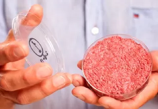 Singapur aprueba la venta de carne cultivada en laboratorio