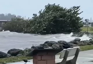 [VIDEO] Estados Unidos: Florida se prepara para la llegada de tormenta 'Nicole'