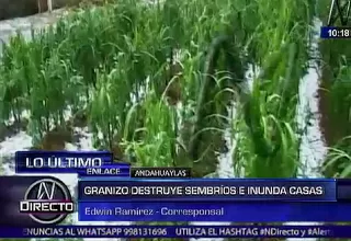 Andahuaylas: fuerte granizada afectó más de 50 hectáreas de cultivos