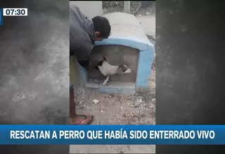 Chiclayo: Salvan a perro que fue enterrado vivo en cementerio