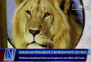 Cusco: denunciaron penalmente a circo donde una leona atacó a profesora