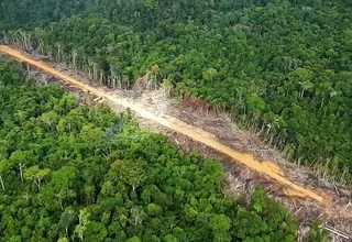 Fuerzas Armadas destruyeron 45 pistas clandestinas en selva de Perú