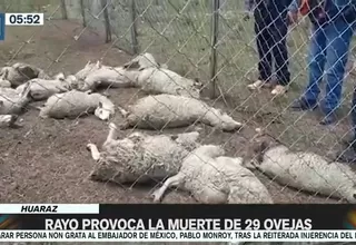 Huaraz: Rayo provocó la muerte de 29 ovejas