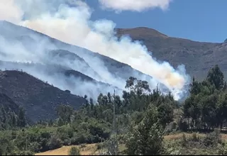 Incendios Forestales se registran en Cerro de Pasco