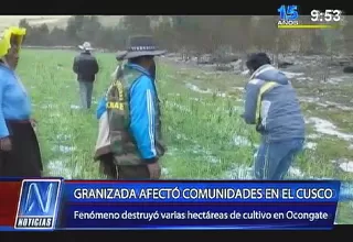 Intensas granizadas afectaron varias hectáreas de cultivos en el Cusco