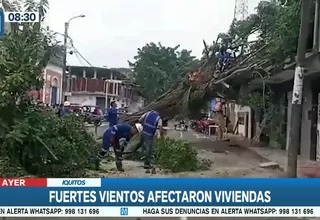 Iquitos: Fuertes vientos derribaron árboles y paneles publicitarios