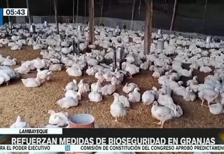 Lambayeque: Refuerzan medidas de bioseguridad en granjas
