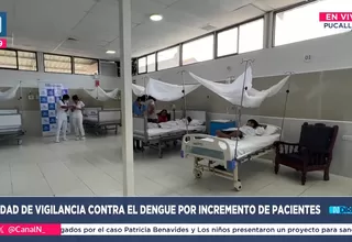 Pucallpa: Unidad de vigilancia contra el dengue por incremento de pacientes