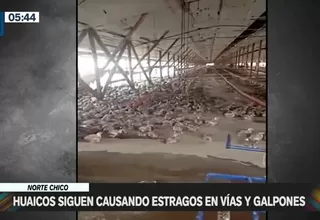 Sayán: Cientos de aves murieron tras inundaciones por huaicos