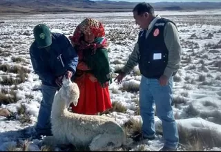 Seis niños murieron de neumonía tras intensa nevada en Puno