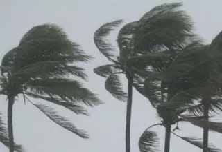 Senamhi: Selva norte soportará vientos fuertes de hasta 50 km/h