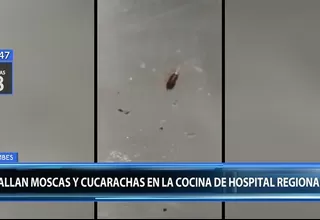 Tumbes: hallan moscas y cucarachas en cocina del hospital regional